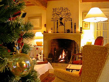 Douceur et ambiance chaleureuse au coin du feu dans le salon du Clos de la Rose