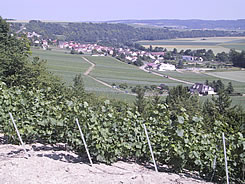 5 minutes only from Le Clos de la Rose Bed and Breakfast: the Champagne vineyards.