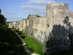 Les impressionnants remparts de Provins servent de d�cor � un spectacle de fauconnerie unique en Europe et � ne pas manquer!