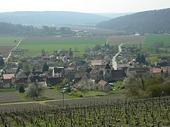 Vallée de la Marne depuis les vignes au-dessus de Bonneil