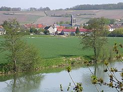 The old charming village of Charly sur Marne produces some outstanding Champagne.